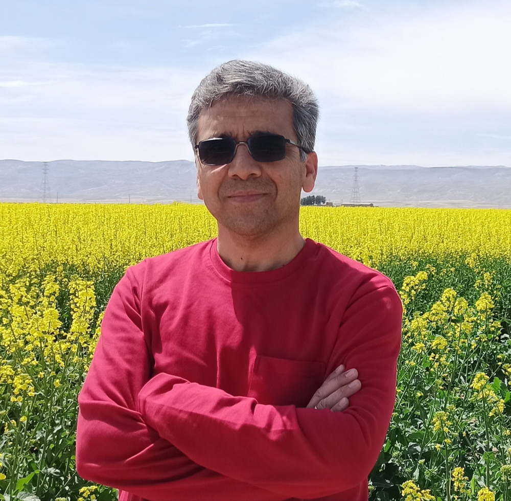 رضا نداف